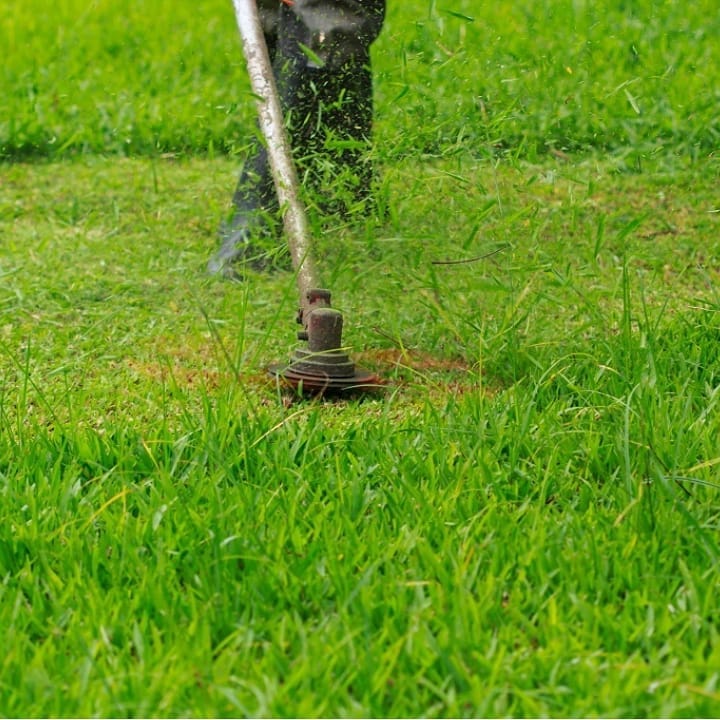 weedwacker
